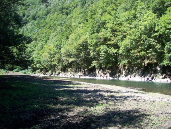  Image name: Fiume11.jpg 
 width: 601 pixel 
 height: 452 pixel 
 Size: 338791 bytes 
 Click to enlarge 